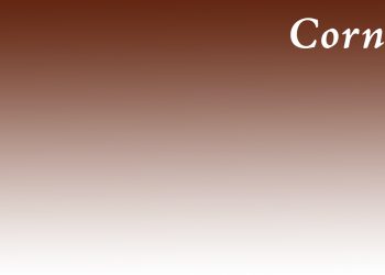 Corner Copy – April 9, 2024